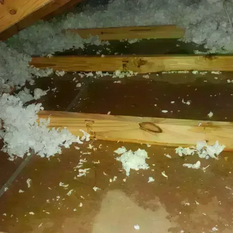 Attic Water Damage in Fairfax, VA