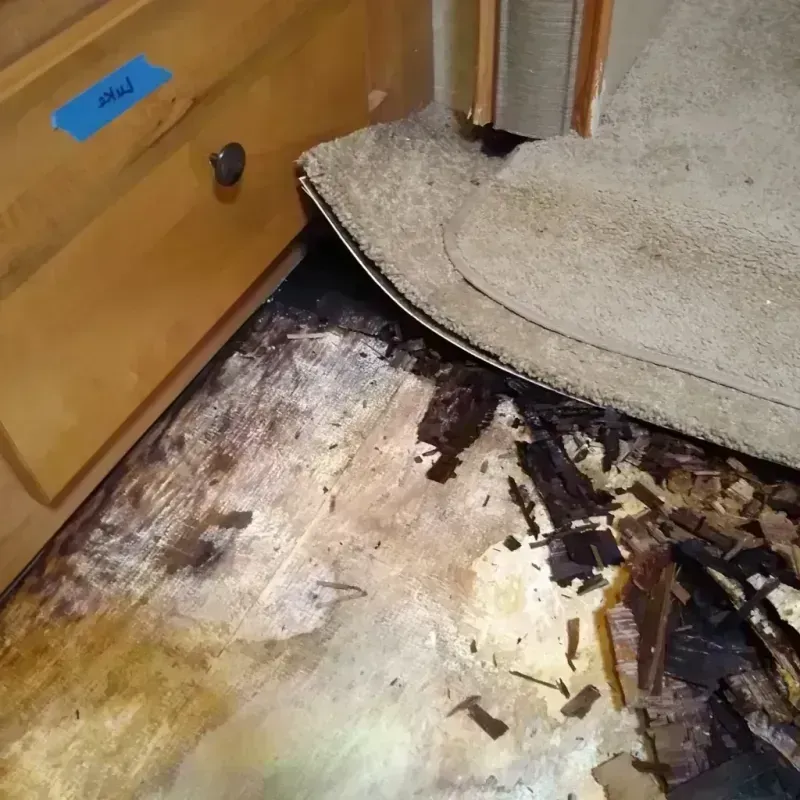 Wood Floor Water Damage in Fairfax, VA